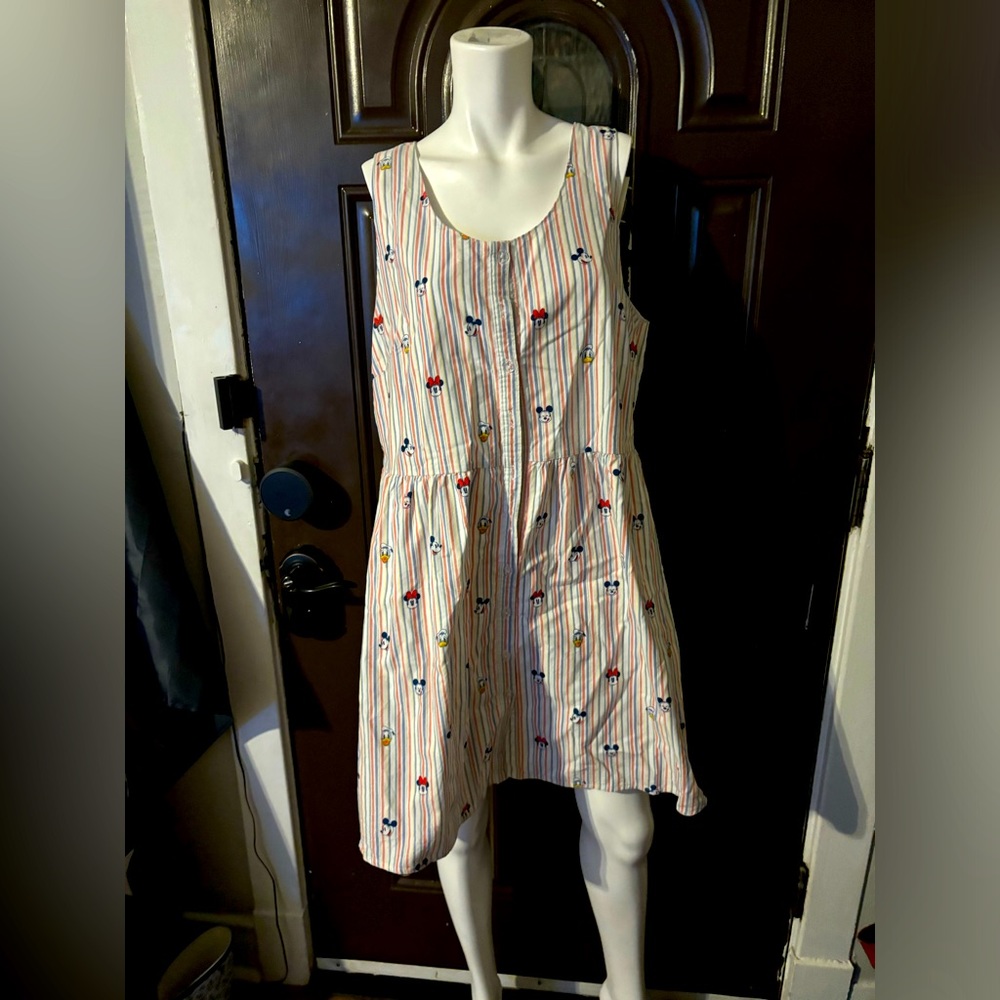 Disney Dress 👗